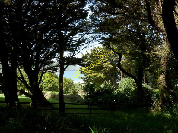 Photo 6"x4" Coastal slopes at the end of Putsborough Sands as seen through the trees on Vention Lane Vention c2010