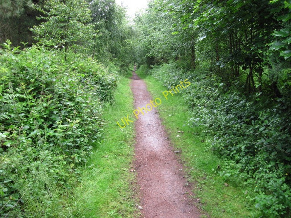 Photo 6"x4" Robin Hood Way Belph c2010