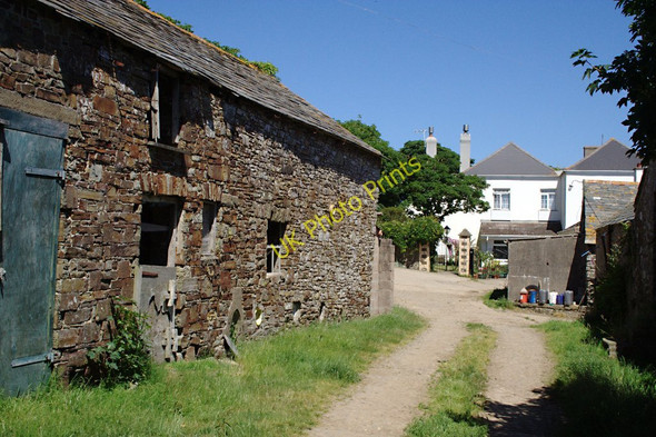 Photo 6"x4" Blagdon Farm Blegbury c2010
