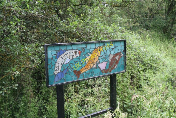 Photo 6"x4" Mosaic by the footpath Newbridge\/SP4001 c2010