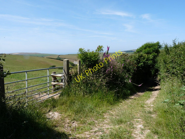 Photo 6"x4" The top of Hole Lane where a footpath leads away to Croyde Cross\/SS4539 c2010