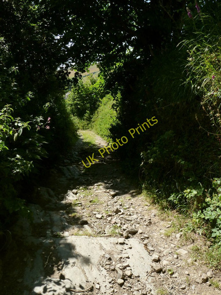 Photo 6"x4" A track which leads to North Lobb Darracott\/SS4739 c2010