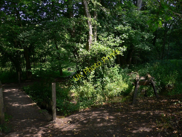 Photo 6"x4" The Tilling Bourne valley at Chilworth (1) Chilworth\/TQ0247 c2010