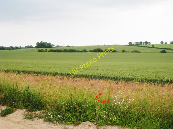 Photo 6"x4" Wheat Field off Bramling Road Bramling c2010
