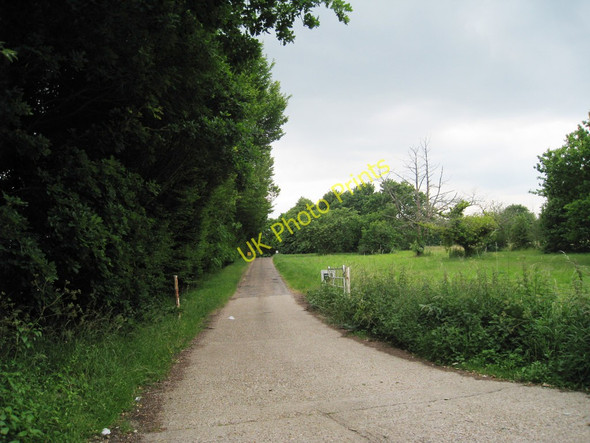 Photo 6"x4" Track and Footpath to Woolton Farm Littlebourne c2010