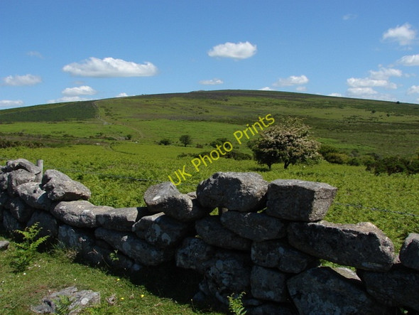 Photo 6"x4" Halshanger Common Welstor c2010