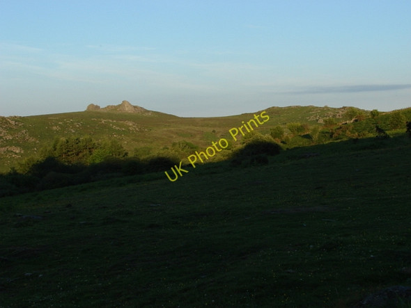 Photo 6"x4" Holwell Down Higher Dunstone c2010