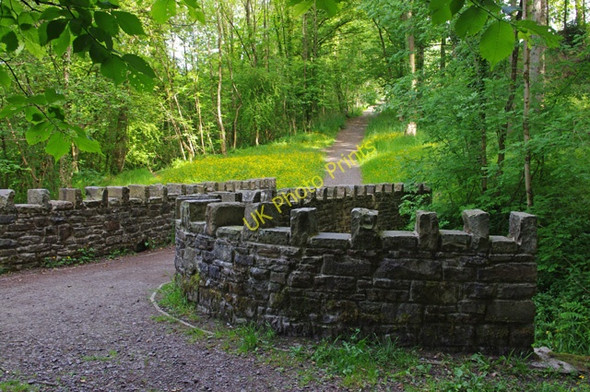 Photo 6"x4" Bridge in Over Hacking Wood Hurst Green\/SD6838 c2010