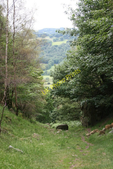 Photo 6"x4" Bole Hill Quarry, Upper Padley, Derbyshire Upper Padley c2010