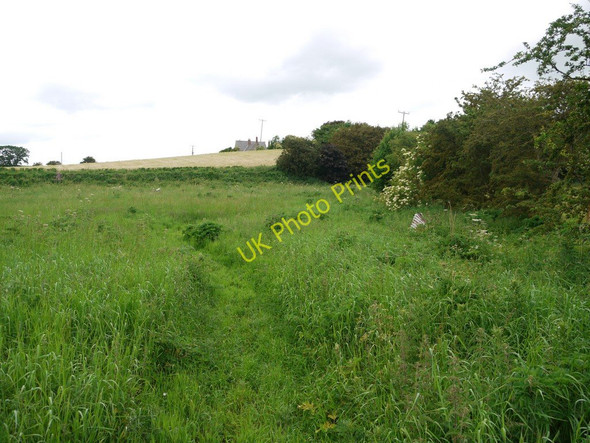 Photo 6"x4" Overgrown footpath south of Crookham Crookham\/NT9138 c2010