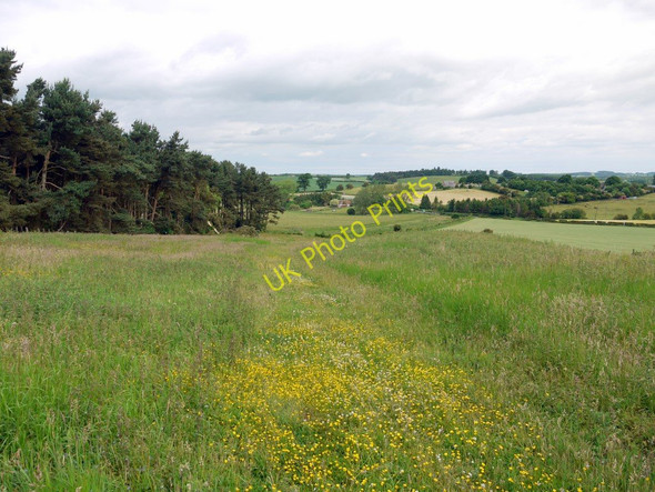 Photo 6"x4" East of Crookham Dean Crookham\/NT9138 c2010