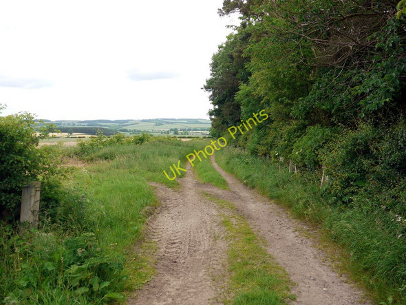 Photo 6"x4" The north edge of Blinkbonny Strip Crookham\/NT9138 c2010