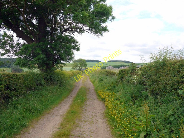 Photo 6"x4" Track to Blinkbonny Crookham\/NT9138 c2010