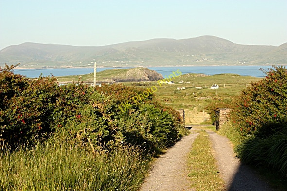 Photo 6"x4" Gateway & Lane Ballinskelligs c2010