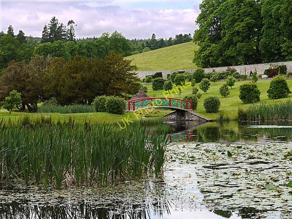 Photo 6"x4" The Chinese Bridge in the Hercules Garden Middlebridge c2010