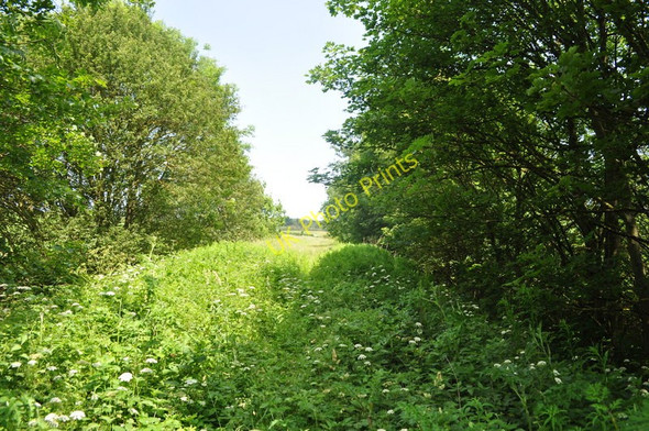 Photo 6"x4" Trackbed to Walsingham Houghton St Giles c2010