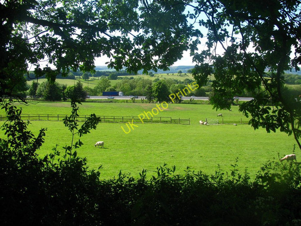 Photo 6"x4" Motorway seen through Trees Newport\/Casnewydd c2010