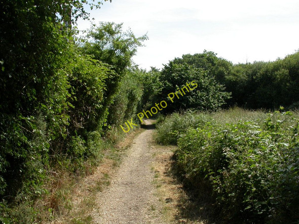 Photo 6"x4" Purewell Meadows, footpath Christchurch\/SZ1592 c2010