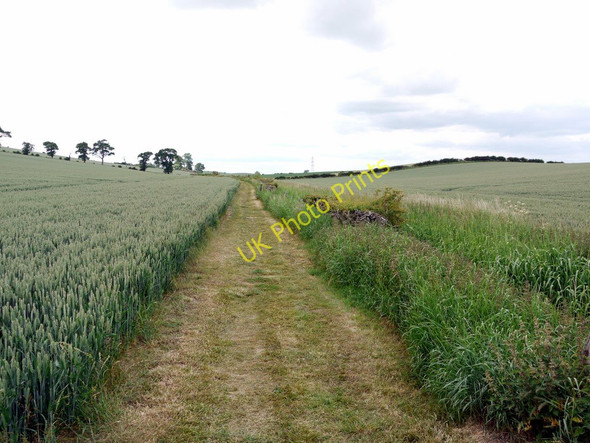 Photo 6"x4" The Flodden Battlefield Trail Branxton\/NT8937 c2010