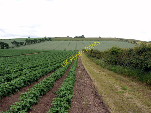 Photo 6"x4" The Flodden Battlefield Trail Branxton\/NT8937 c2010