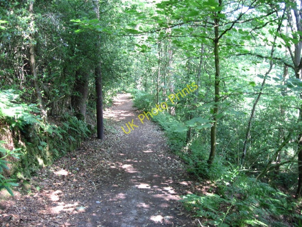 Photo 6"x4" Footpath near Rudyard Reservoir Rudyard c2010