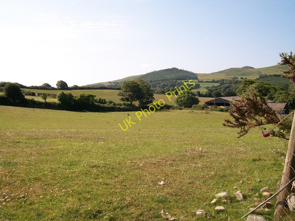 Photo 6"x4" Pastureland at Fferm Bronheulog Farm Edern c2010