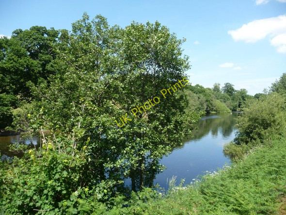 Photo 6"x4" A quiet stretch of the River Dart Totnes c2010