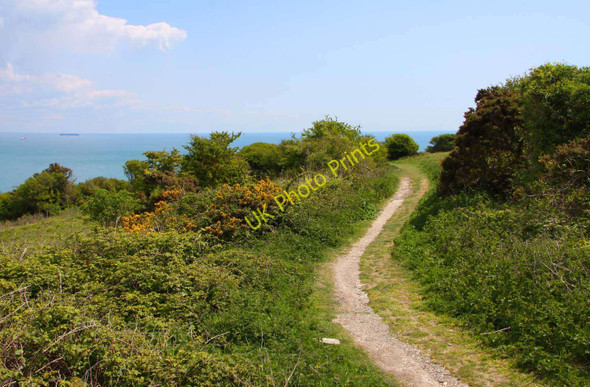 Photo 6"x4" Footpath on Culver Down Hillway c2010