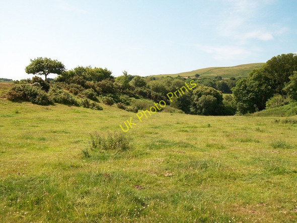 Photo 6"x4" Wooded hollow above Mochras  Boduan c2010