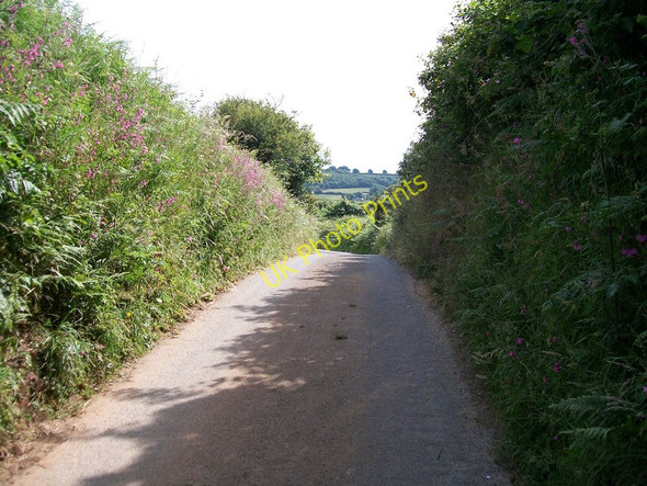 Photo 6"x4" Sunken lane east towards Boduan Nefyn c2010