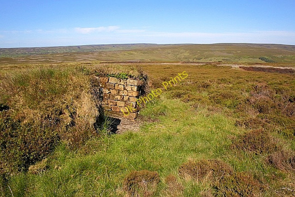 Photo 6"x4" Grouse Butt, High Hill Top Church Houses c2010