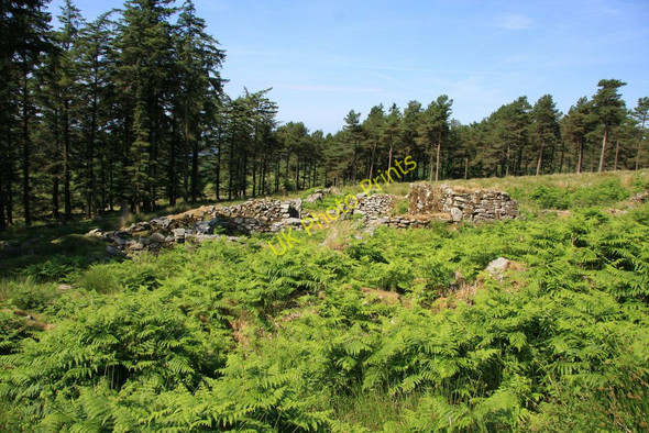 Photo 6"x4" Roundy Farm Princetown\/SX5873 c2010