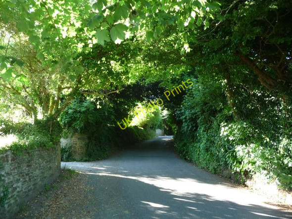 Photo 6"x4" Sunny evening in Ringmore Bigbury\/SX6646 c2010