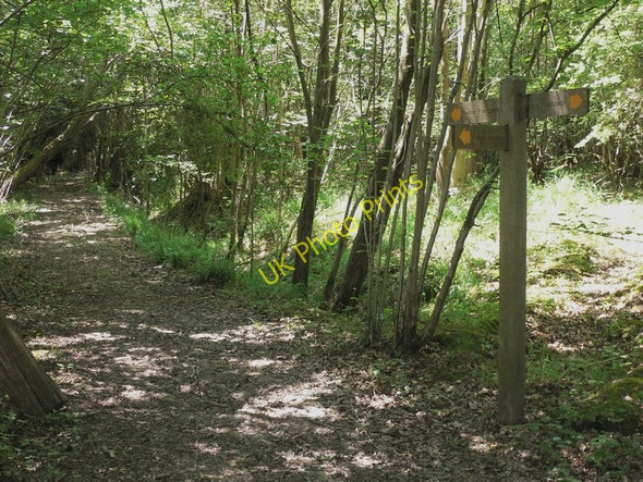 Photo 6"x4" Footpath junction near Piper's Farm Ingrams Green c2010