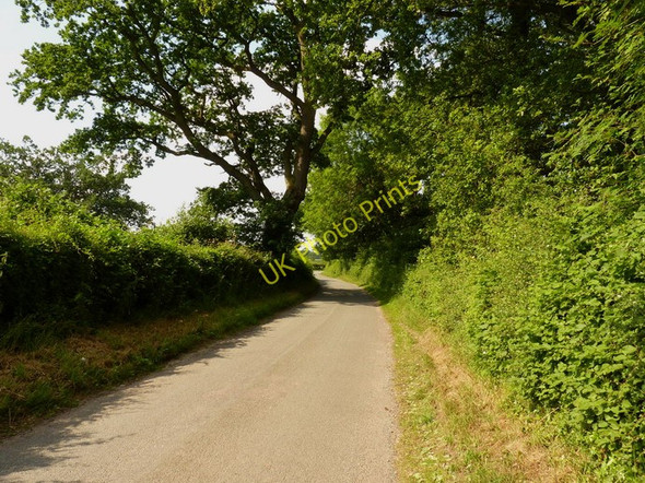 Photo 6"x4" Just a narrow lane, with a bend or two Blymhill c2010
