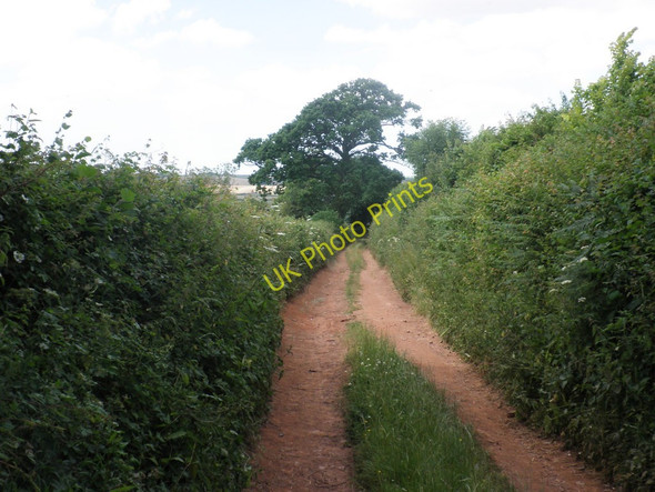 Photo 6"x4" Devonshire Heartland Way, near Posbury Crediton c2010