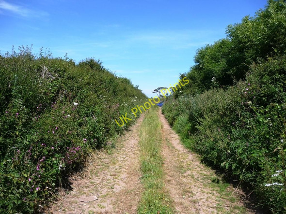 Photo 6"x4" Footpath to B3392 Bigbury\/SX6646 c2010