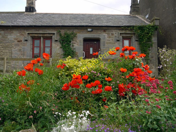 Photo 6"x4" Cottage garden, Crookham Crookham\/NT9138 c2010