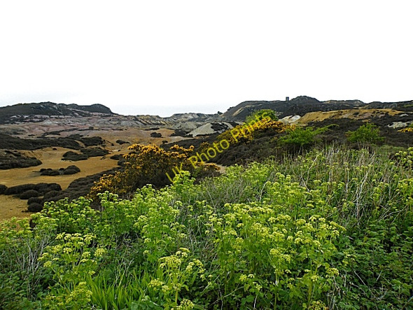 Photo 6"x4" Mynydd Parys Penysarn c2010 P1