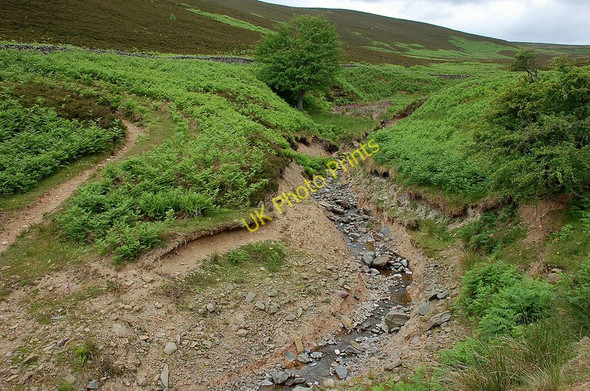 Photo 6"x4" Long Philip Burn Broadmeadows\/NT4130 c2010