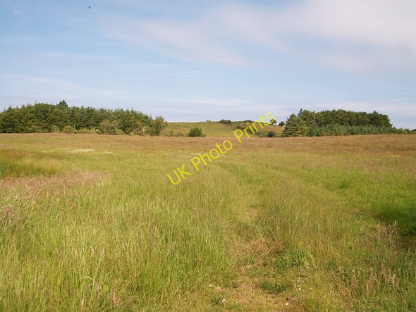 Photo 6"x4" View across undulating farmland in the direction of Maesoglen Edern c2010