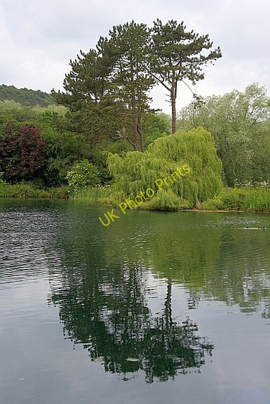 Photo 6"x4" Island in The Mere Crossgates\/TA0384 c2010