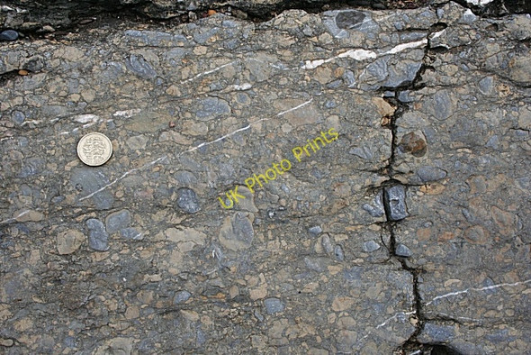 Photo 6"x4" Calcrete and Mud Clasts Brynrefail\/SH4886 c2010
