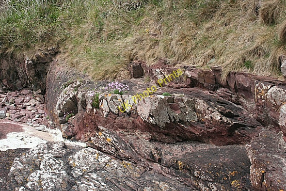 Photo 6"x4" Fault Hinge Brynrefail\/SH4886 c2010