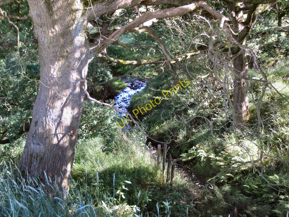 Photo 6"x4" Wooded Stream Heywood\/SD8510 c2010