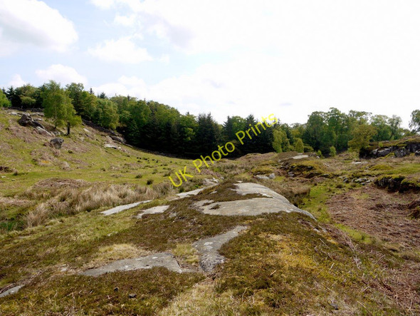 Photo 6"x4" Shaftoe Crags Bolam West Houses c2010