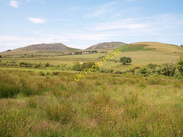 Photo 6"x4" View westwards across reedy land of the Horon Valley Garnfadryn c2010