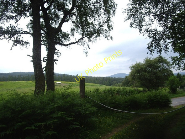 Photo 6"x4" Exit from Sluie Woods Kincardine O'Neil c2010