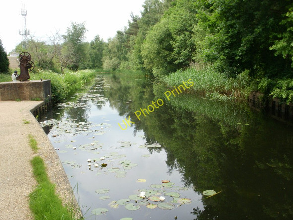 Photo 6"x4" Basingstoke Canal near to Monument Bridge Woking c2010