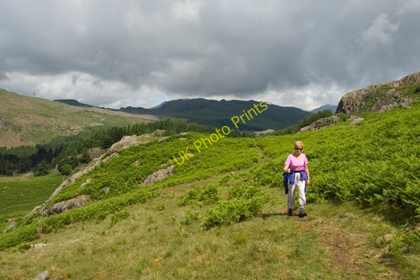 Photo 6"x4" Footpath from Hinning House Cockley Beck\/NY2401 c2010